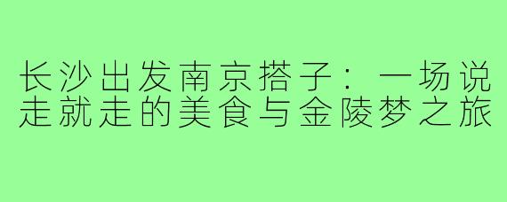 长沙出发南京搭子:一场说走就走的美食与金陵梦之旅