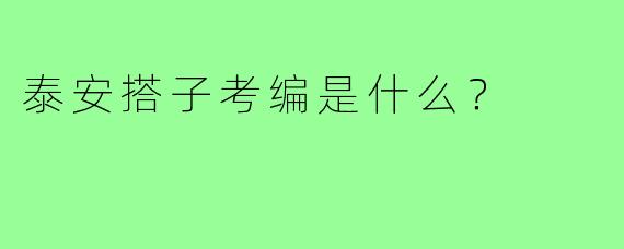 泰安搭子考编是什么?