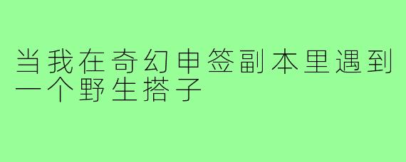 当我在奇幻申签副本里遇到一个野生搭子
