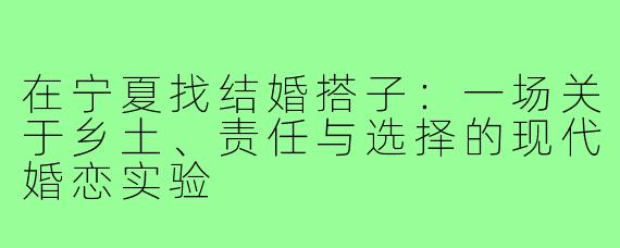 在宁夏找结婚搭子:一场关于乡土、责任与选择的现代婚恋实验