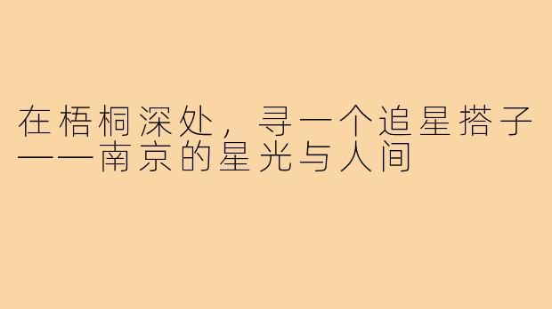 在梧桐深处，寻一个追星搭子——南京的星光与人间