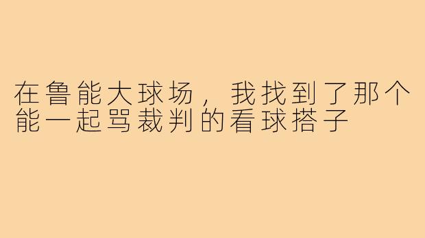 在鲁能大球场，我找到了那个能一起骂裁判的看球搭子