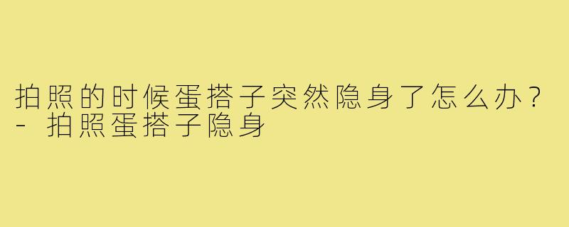 拍照的时候蛋搭子突然隐身了怎么办?-拍照蛋搭子隐身