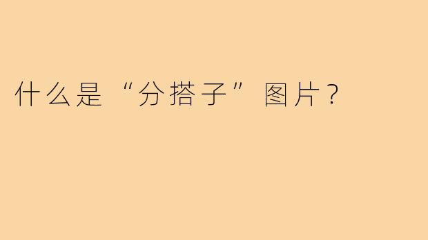 什么是“分搭子”图片？