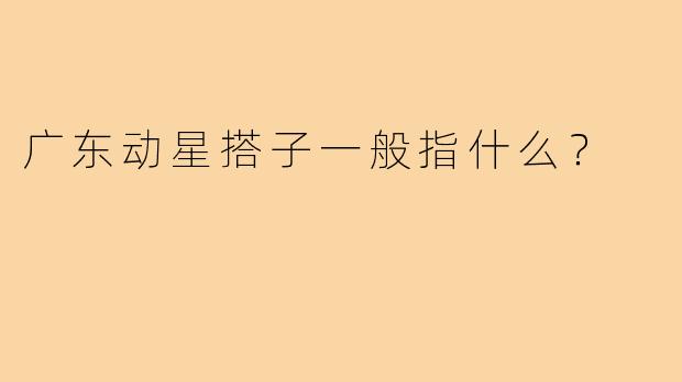 广东动星搭子一般指什么?