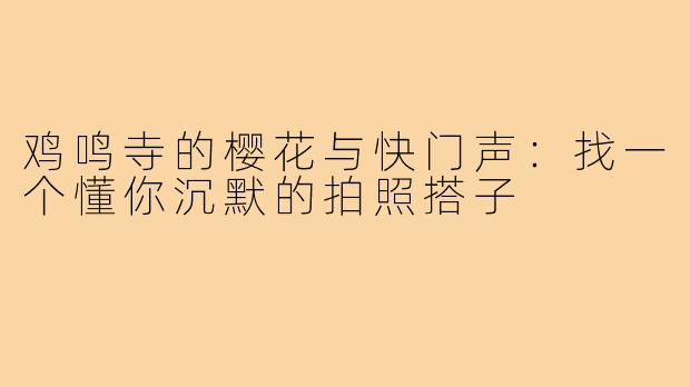 鸡鸣寺的樱花与快门声:找一个懂你沉默的拍照搭子