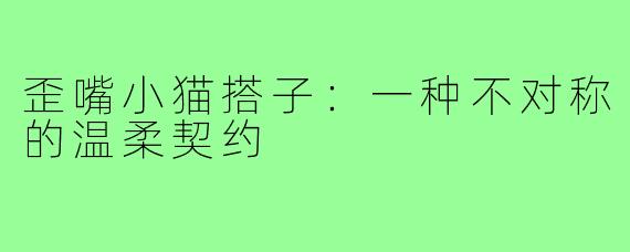 歪嘴小猫搭子:一种不对称的温柔契约