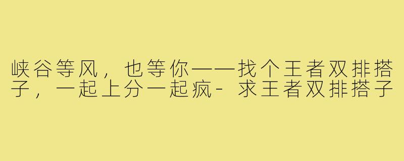 峡谷等风，也等你——找个王者双排搭子，一起上分一起疯-求王者双排搭子