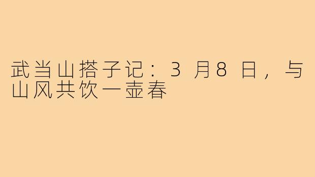 武当山搭子记：3月8日，与山风共饮一壶春