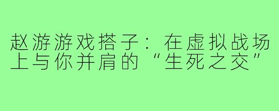 赵游游戏搭子:在虚拟战场上与你并肩的“生死之交”