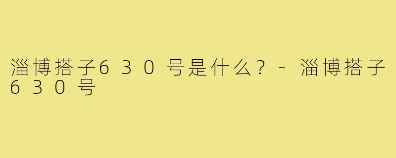 淄博搭子630号是什么?-淄博搭子630号