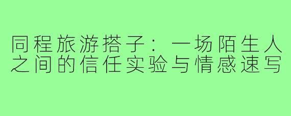 同程旅游搭子：一场陌生人之间的信任实验与情感速写