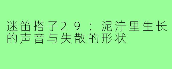 迷笛搭子29：泥泞里生长的声音与失散的形状