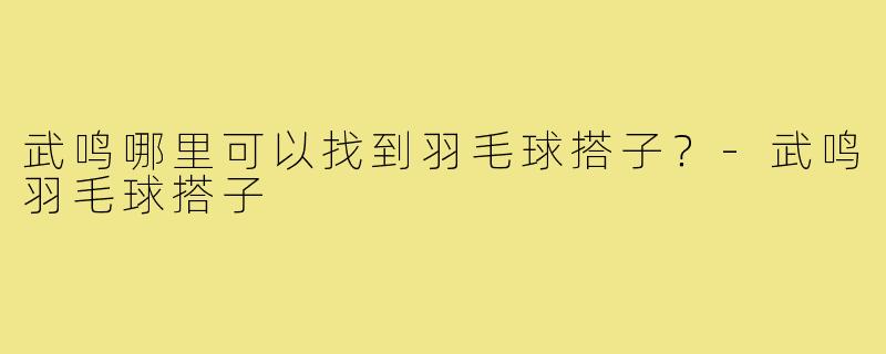 武鸣哪里可以找到羽毛球搭子？-武鸣羽毛球搭子