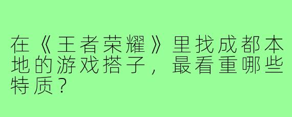 在《王者荣耀》里找成都本地的游戏搭子,最看重哪些特质?