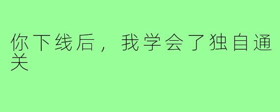 你下线后，我学会了独自通关