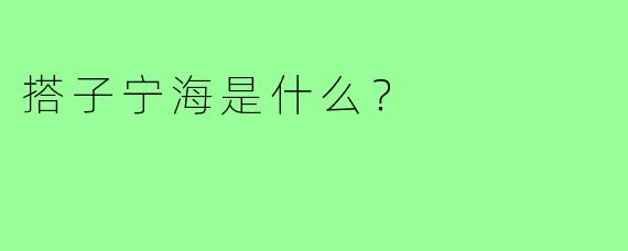 搭子宁海是什么？
