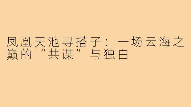 凤凰天池寻搭子:一场云海之巅的“共谋”与独白