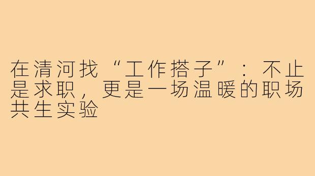 在清河找“工作搭子”：不止是求职，更是一场温暖的职场共生实验