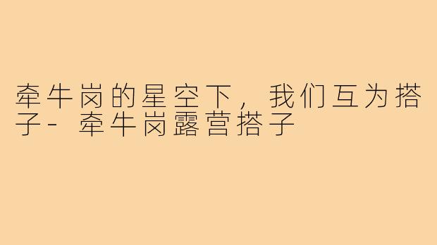 牵牛岗的星空下,我们互为搭子-牵牛岗露营搭子