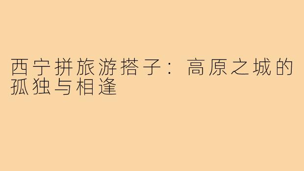 西宁拼旅游搭子:高原之城的孤独与相逢