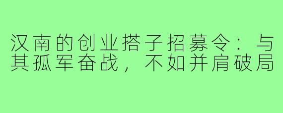 汉南的创业搭子招募令:与其孤军奋战,不如并肩破局