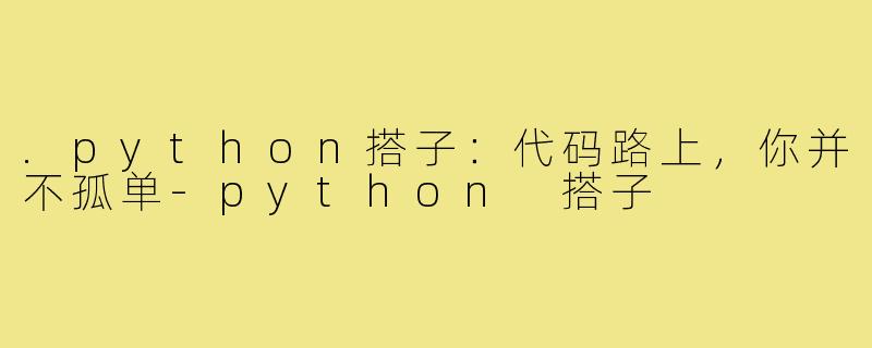 .python搭子:代码路上,你并不孤单-python 搭子