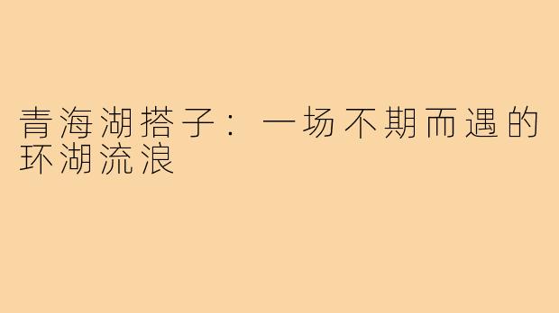 青海湖搭子:一场不期而遇的环湖流浪