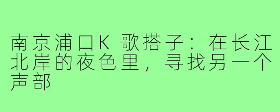 南京浦口K歌搭子：在长江北岸的夜色里，寻找另一个声部