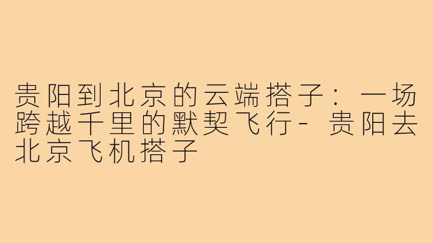 贵阳到北京的云端搭子:一场跨越千里的默契飞行-贵阳去北京飞机搭子