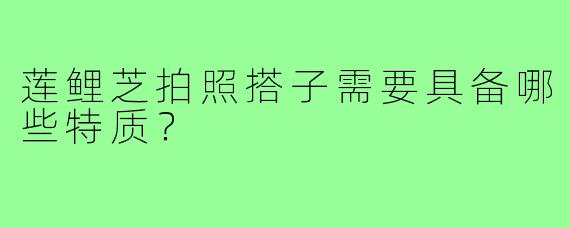莲鲤芝拍照搭子需要具备哪些特质?