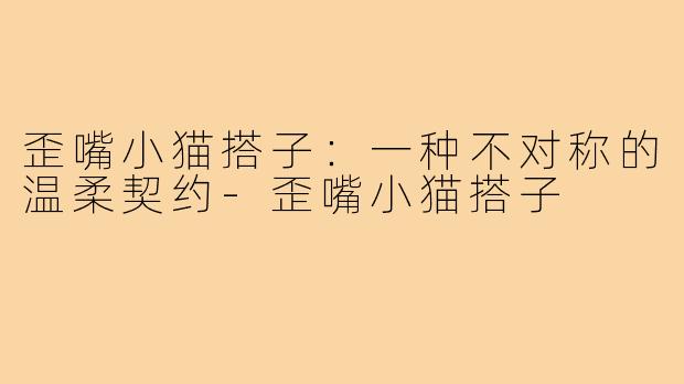 歪嘴小猫搭子:一种不对称的温柔契约-歪嘴小猫搭子