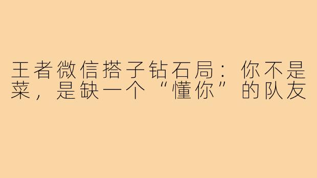 王者微信搭子钻石局：你不是菜，是缺一个“懂你”的队友