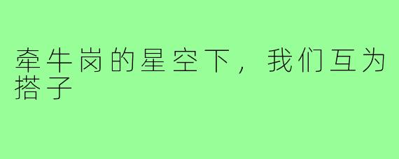牵牛岗的星空下,我们互为搭子
