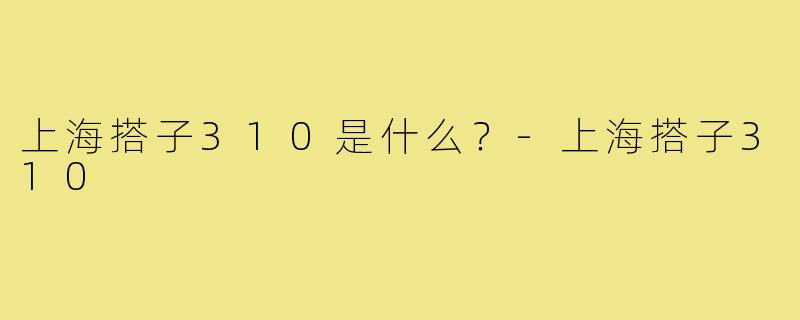 上海搭子310是什么?-上海搭子310