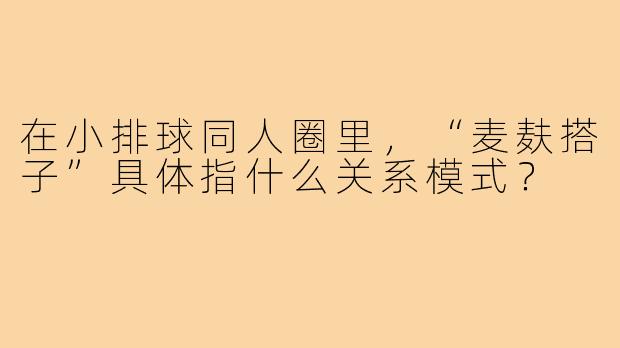 在小排球同人圈里,“麦麸搭子”具体指什么关系模式?