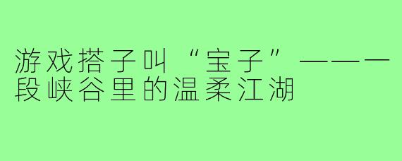 游戏搭子叫“宝子”——一段峡谷里的温柔江湖