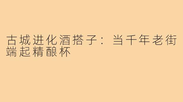古城进化酒搭子:当千年老街端起精酿杯