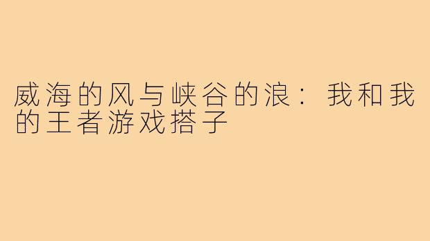 威海的风与峡谷的浪：我和我的王者游戏搭子