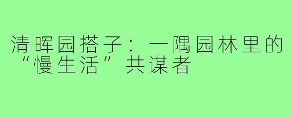 清晖园搭子:一隅园林里的“慢生活”共谋者