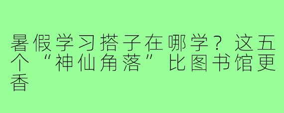 暑假学习搭子在哪学?这五个“神仙角落”比图书馆更香