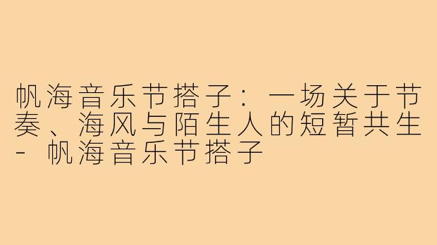 帆海音乐节搭子:一场关于节奏、海风与陌生人的短暂共生-帆海音乐节搭子