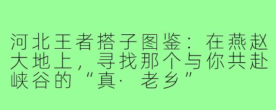 河北王者搭子图鉴：在燕赵大地上，寻找那个与你共赴峡谷的“真·老乡”