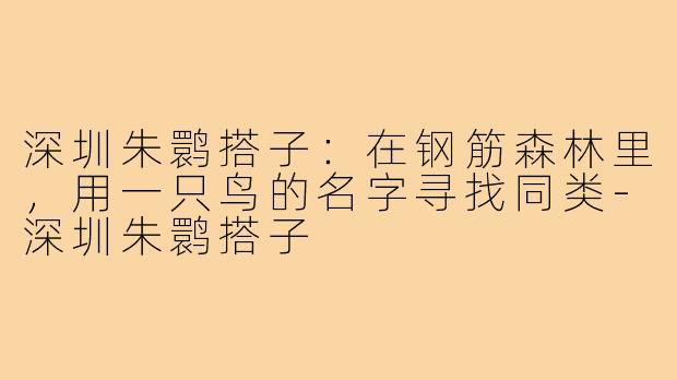 深圳朱鹮搭子：在钢筋森林里，用一只鸟的名字寻找同类-深圳朱鹮搭子
