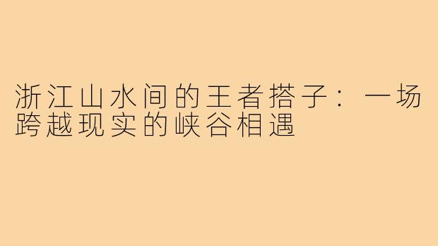 浙江山水间的王者搭子：一场跨越现实的峡谷相遇