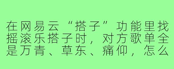 在网易云“搭子”功能里找摇滚乐搭子时,对方歌单全是万青、草东、痛仰,怎么判断他是真滚人还是跟风仔?