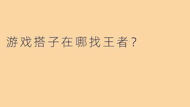 游戏搭子在哪找王者？
