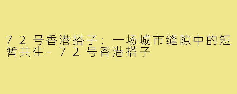 72号香港搭子:一场城市缝隙中的短暂共生-72号香港搭子