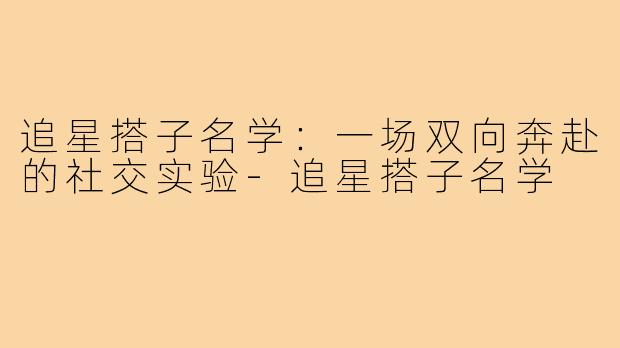 追星搭子名学:一场双向奔赴的社交实验-追星搭子名学