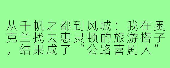 从千帆之都到风城：我在奥克兰找去惠灵顿的旅游搭子，结果成了“公路喜剧人”